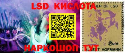 шишки Бузулук